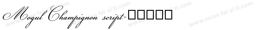 Mogul Champignon script字体转换
